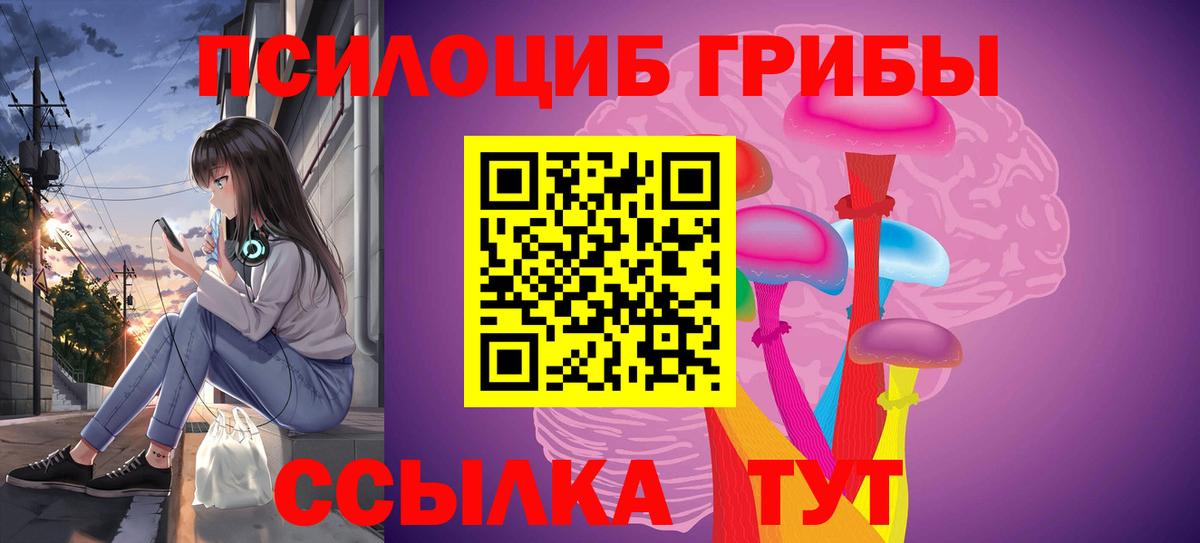 Новочебоксарск  Псилоцибиновые грибы Psilocybe  Вход с VPN 